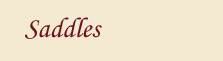 saddles